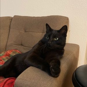 Meet your Posher, Maggie